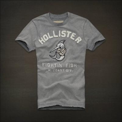 Hollister Men Shirts-325